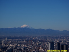 富士山が綺麗！