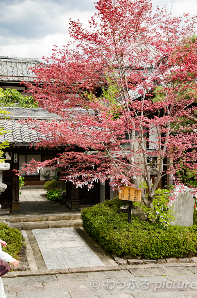 善光寺近くの寺院
