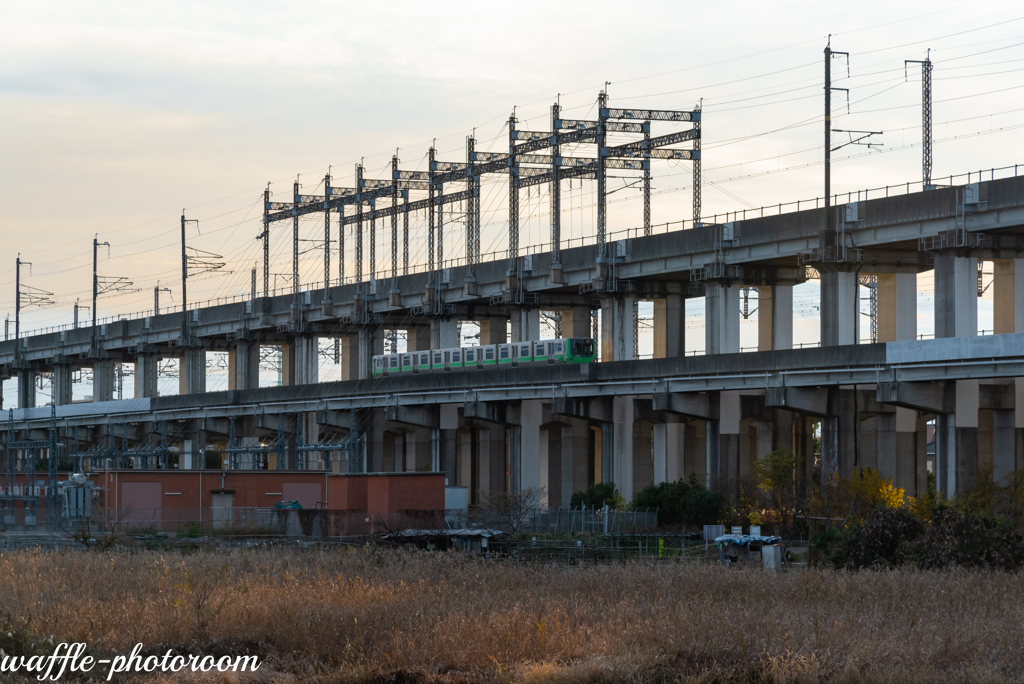 埼玉新都市交通と新幹線高架橋