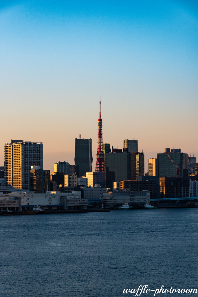 東京タワー