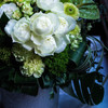 Pale flower