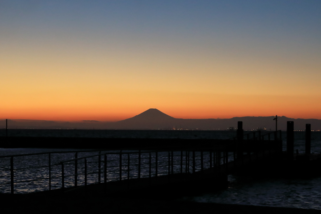 夕暮れ時、現る。