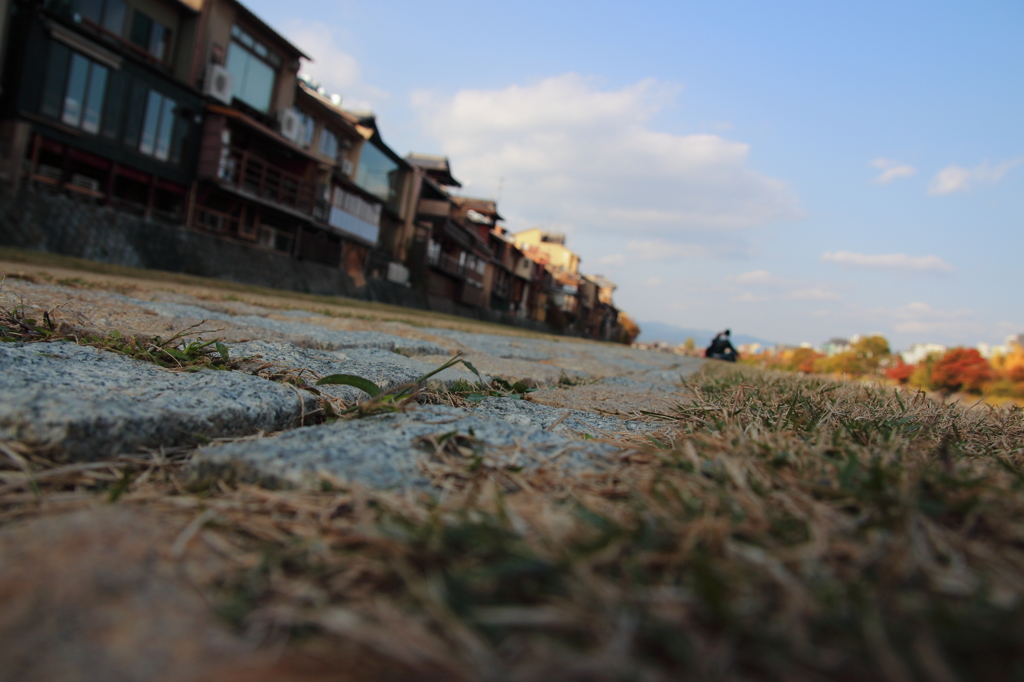 Kamogawa