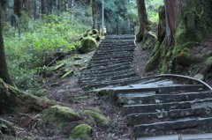 散歩道