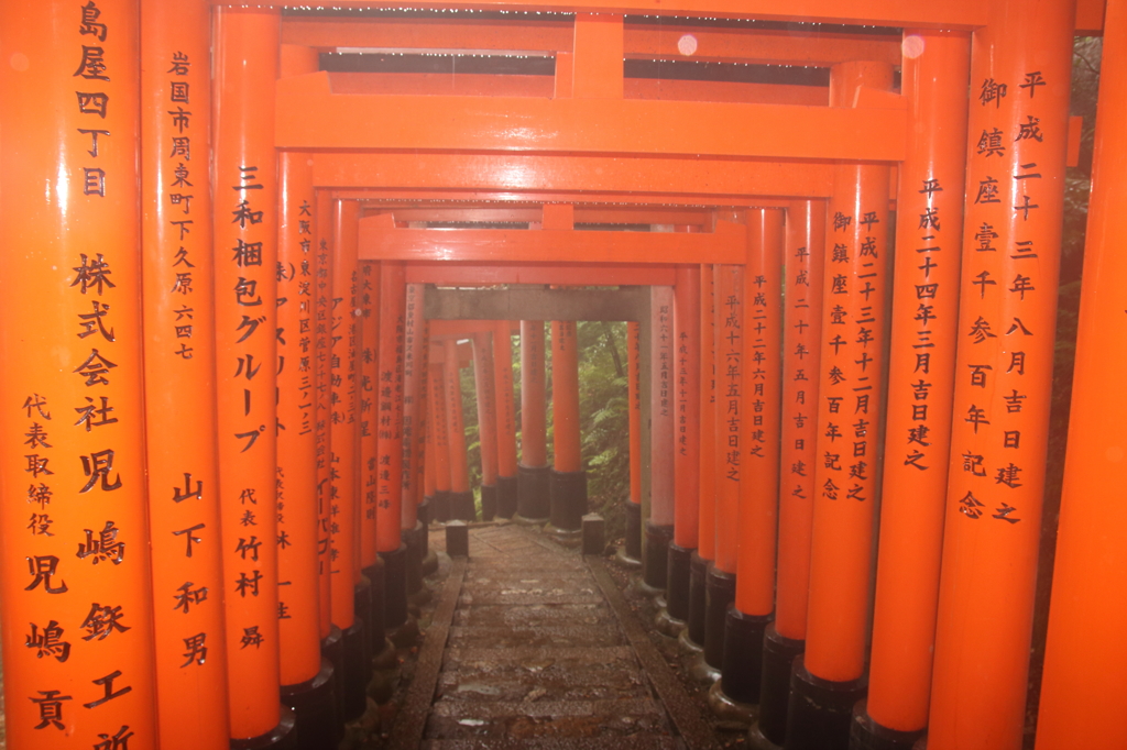 Foggy Gateway