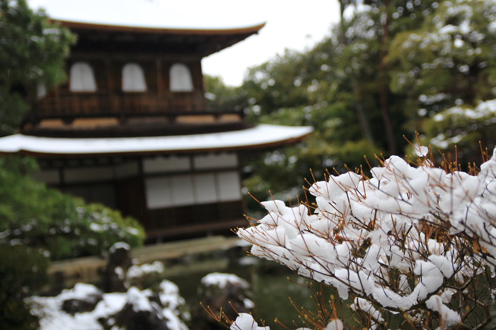 雪の向こうに