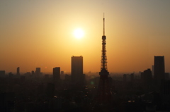 東京タワーと夕陽