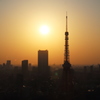 東京タワーと夕陽