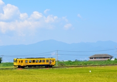 田舎道を行く