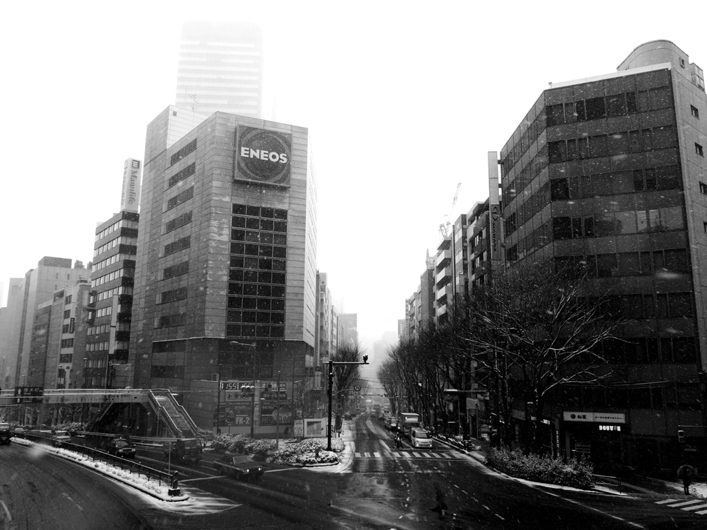 Snowing Tokyo
