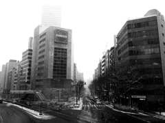 Snowing Tokyo