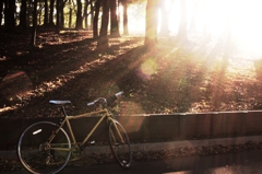 cycling