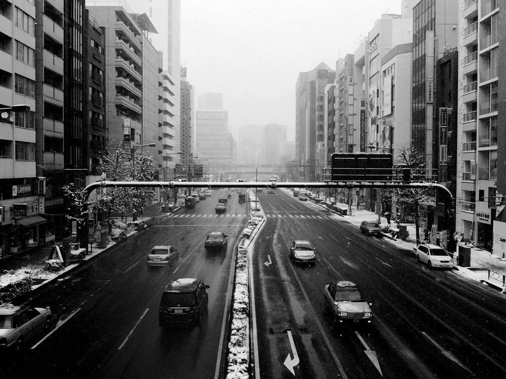 Snowing Tokyo