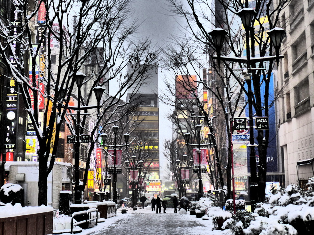 Snowing Tokyo