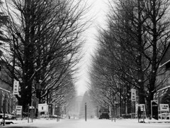 Snowing Tokyo