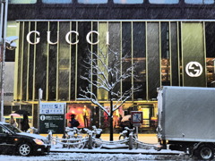 Snowing Tokyo