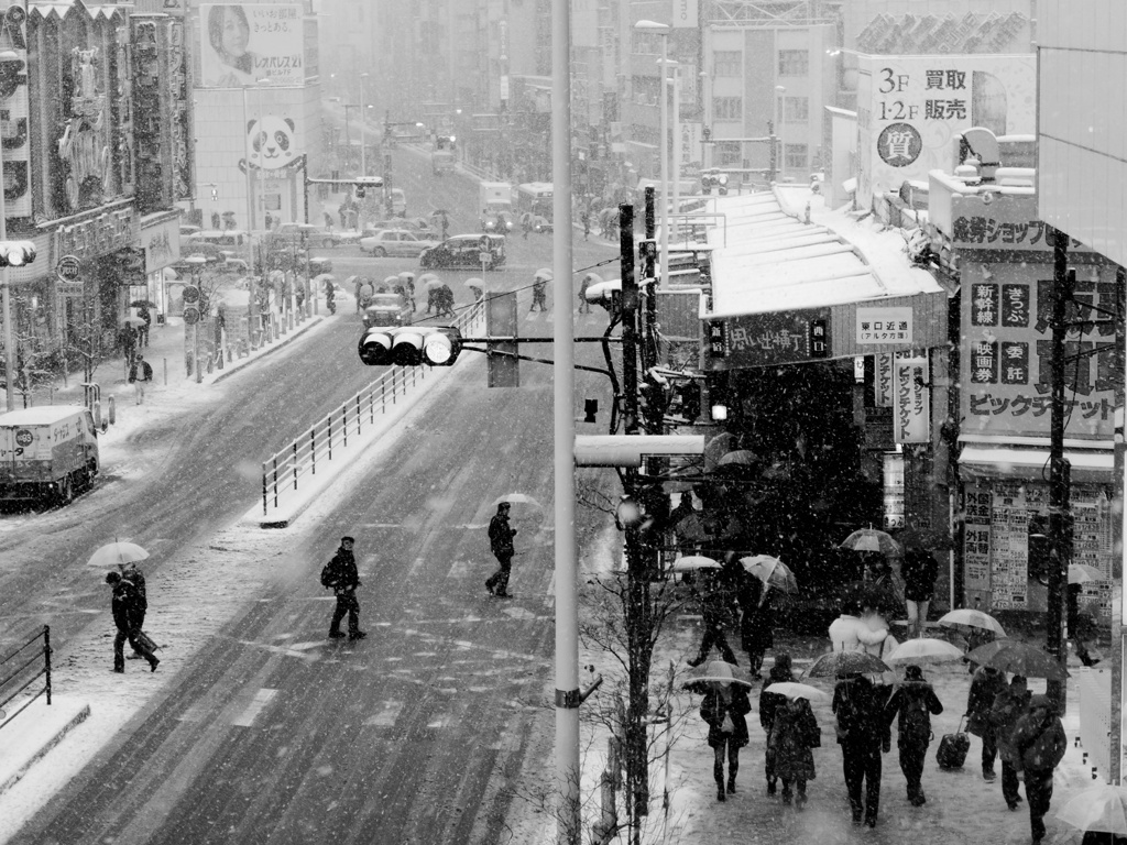 Snowing Tokyo