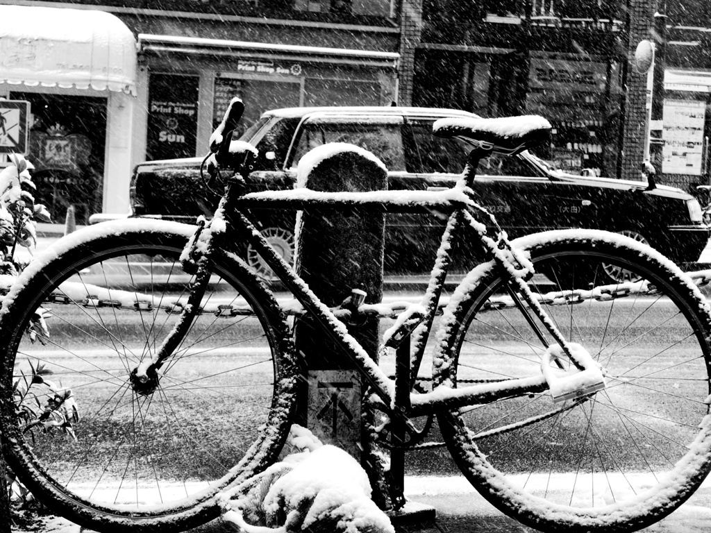 Snowing Tokyo