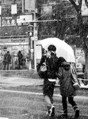 Snowing Tokyo