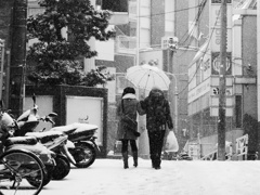 Snowing Tokyo