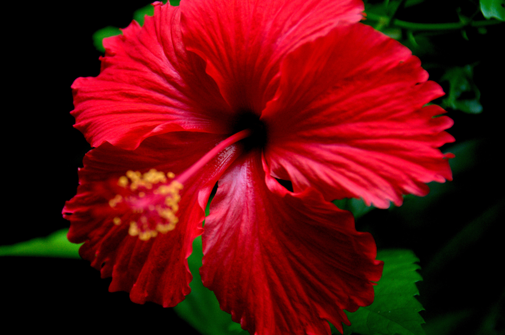 red