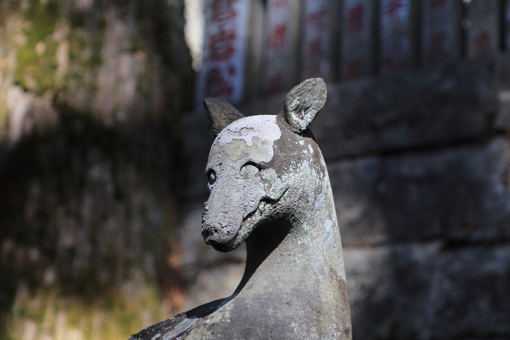 狛狼