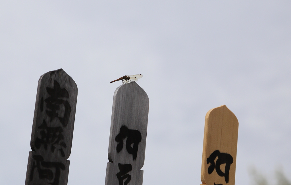 お彼岸