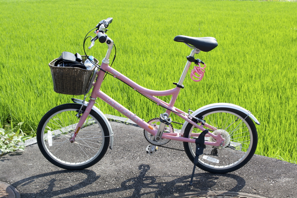 緑に映えるピンクの自転車