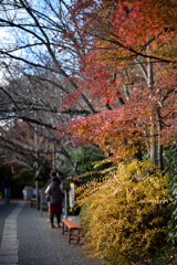 龍安寺