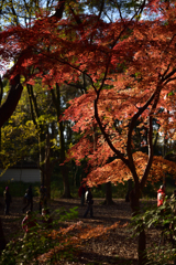 下鴨神社