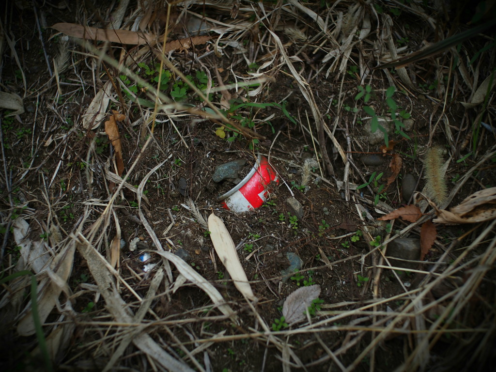 うずもれた赤。