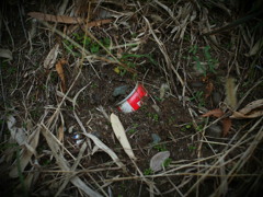 うずもれた赤。