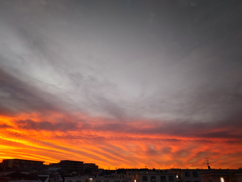 この朝の空