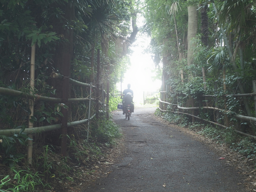 いつも通りの朝