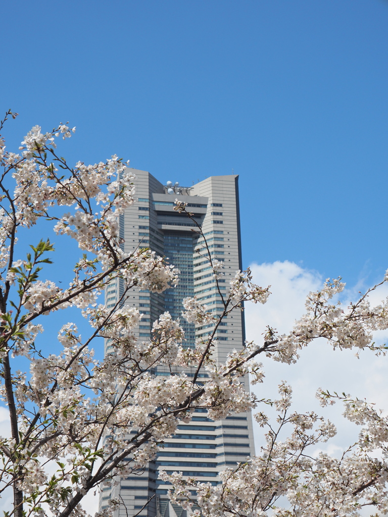 Yokohama Landmark