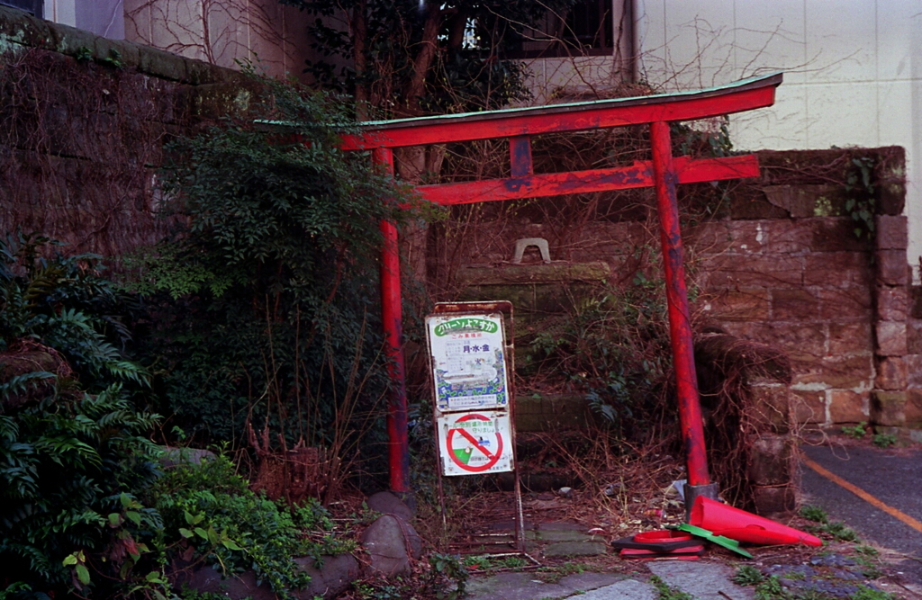 Yokosuka, snap