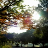 Jupiterの朝。