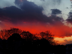 12月28日の夕焼け。