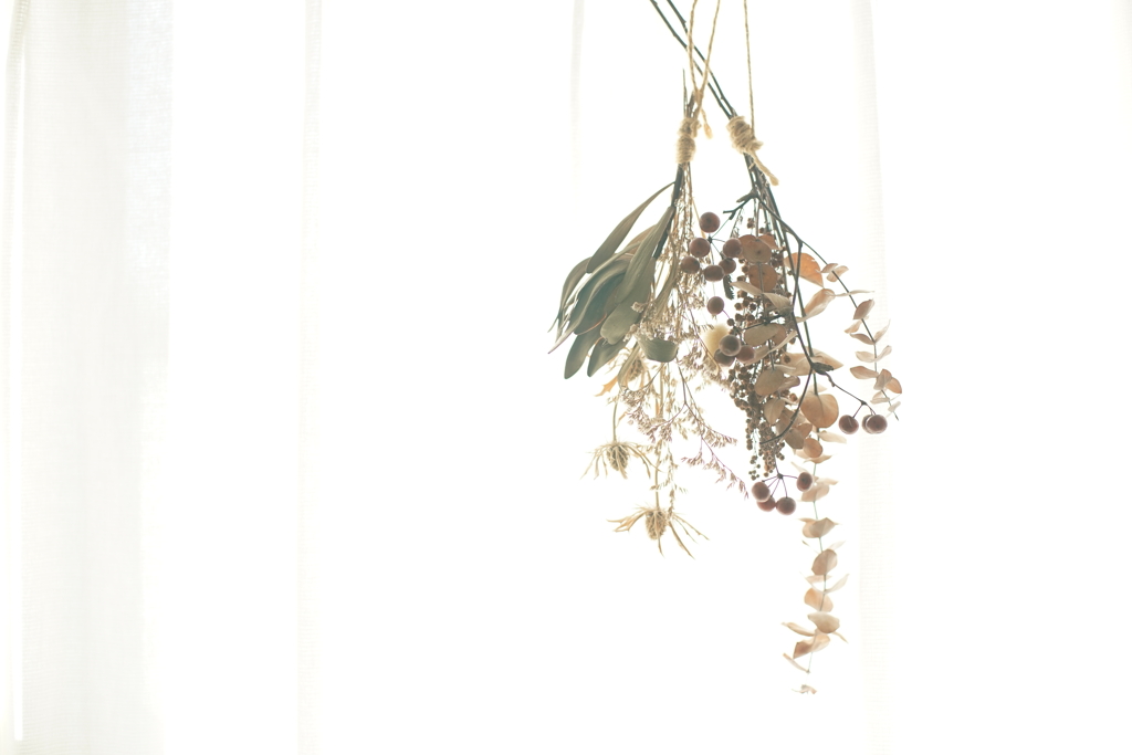 dry flower