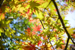 近所の公園にて
