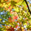 近所の公園にて