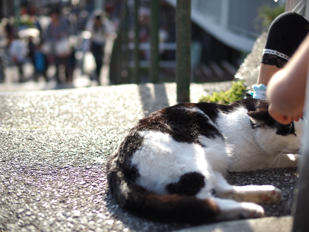 谷中の休日