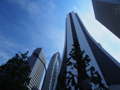 新宿高層ビル群