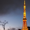 東京タワー(20170114)