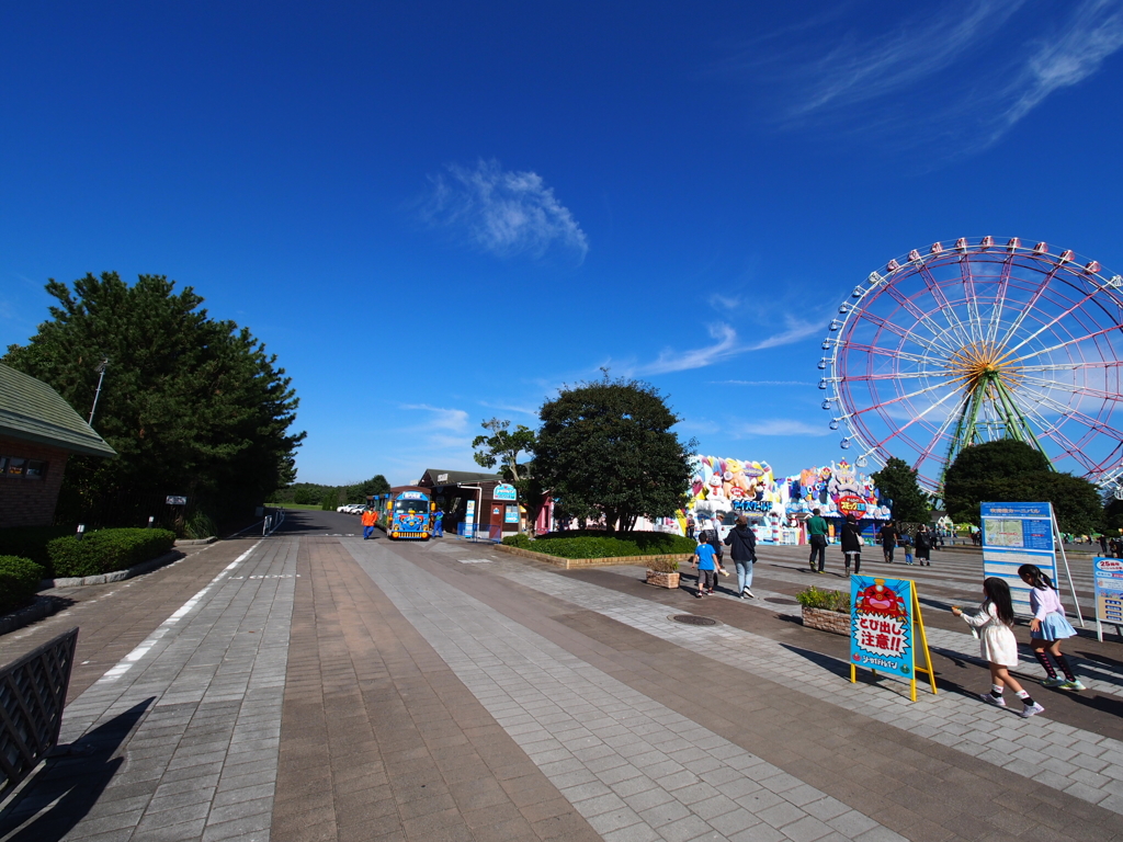 ひたち海浜公園