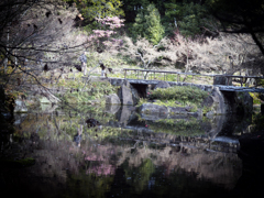 徳川園