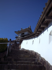白壁越しに