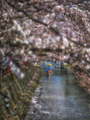 大垣水門川