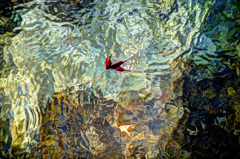 流れ