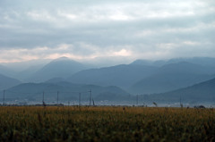 早朝の養老山脈
